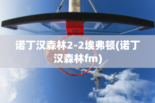 诺丁汉森林2-2埃弗顿(诺丁汉森林fm)