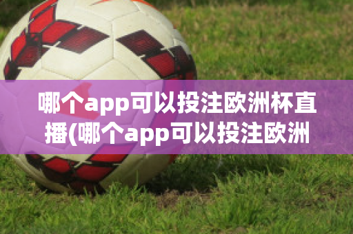 哪个app可以投注欧洲杯直播(哪个app可以投注欧洲杯直播视频)