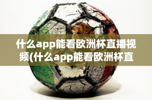 什么app能看欧洲杯直播视频(什么app能看欧洲杯直播视频的)