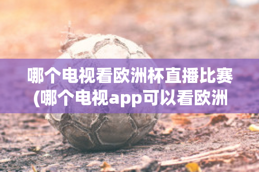 哪个电视看欧洲杯直播比赛(哪个电视app可以看欧洲杯直播)