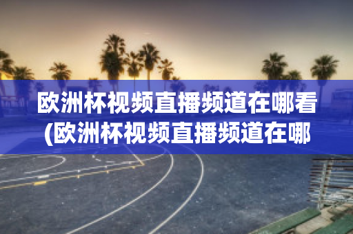 欧洲杯视频直播频道在哪看(欧洲杯视频直播频道在哪看回放)