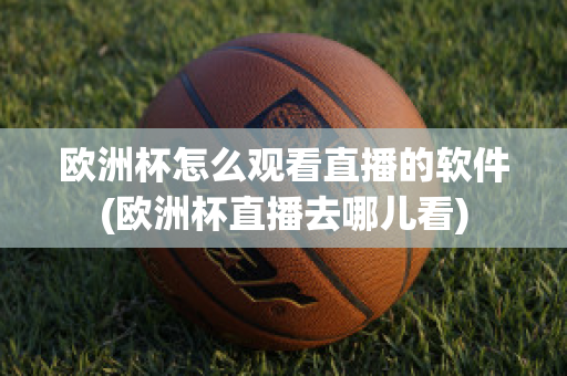 欧洲杯怎么观看直播的软件(欧洲杯直播去哪儿看)