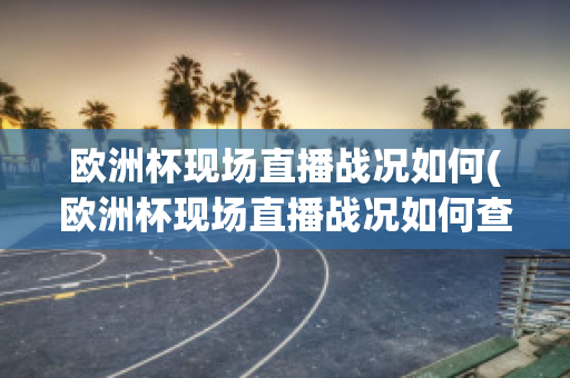 欧洲杯现场直播战况如何(欧洲杯现场直播战况如何查看)