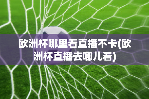 欧洲杯哪里看直播不卡(欧洲杯直播去哪儿看)