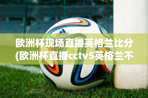 欧洲杯现场直播英格兰比分(欧洲杯直播cctv5英格兰不直播)