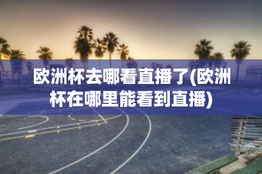 欧洲杯去哪看直播了(欧洲杯在哪里能看到直播)