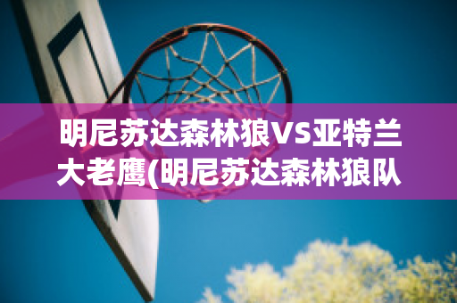 明尼苏达森林狼VS亚特兰大老鹰(明尼苏达森林狼队)