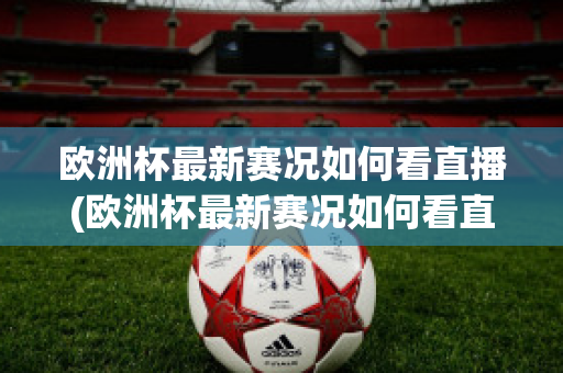 欧洲杯最新赛况如何看直播(欧洲杯最新赛况如何看直播回放)