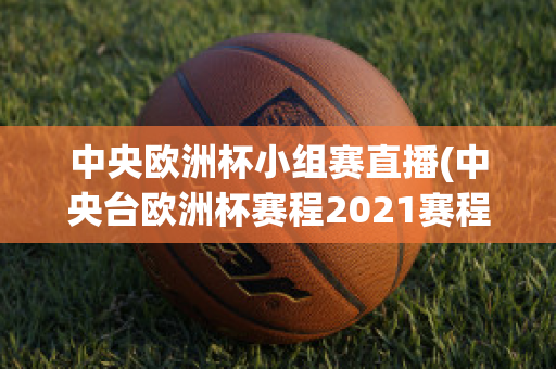 中央欧洲杯小组赛直播(中央台欧洲杯赛程2021赛程表)