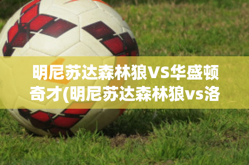 明尼苏达森林狼VS华盛顿奇才(明尼苏达森林狼vs洛杉矶湖人)