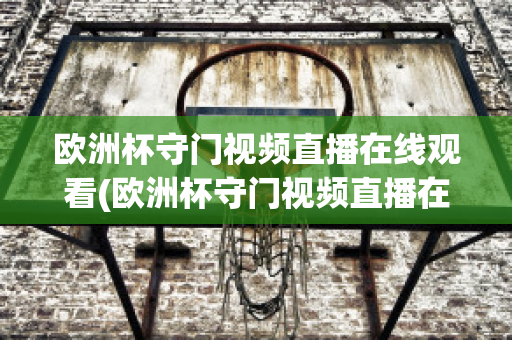 欧洲杯守门视频直播在线观看(欧洲杯守门视频直播在线观看高清)