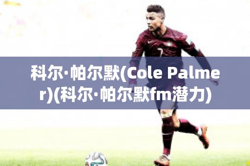 科尔·帕尔默(Cole Palmer)(科尔·帕尔默fm潜力)