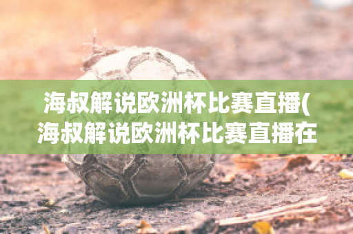 海叔解说欧洲杯比赛直播(海叔解说欧洲杯比赛直播在线观看)