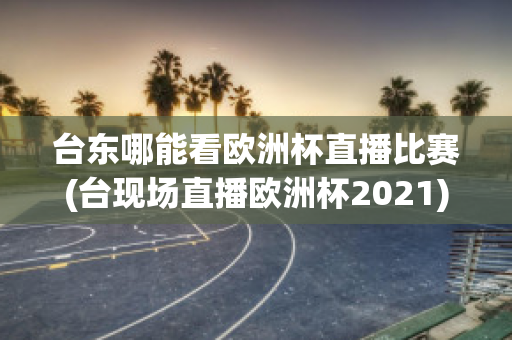 台东哪能看欧洲杯直播比赛(台现场直播欧洲杯2021)