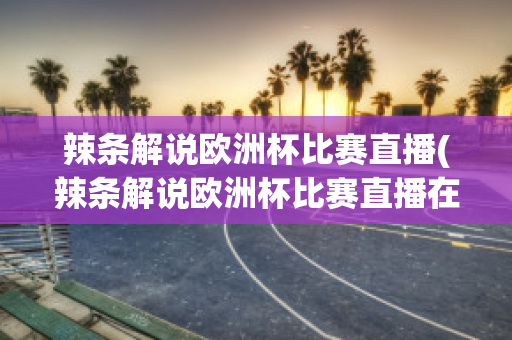 辣条解说欧洲杯比赛直播(辣条解说欧洲杯比赛直播在线观看)