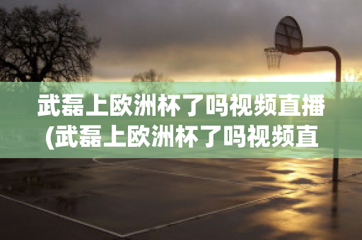 武磊上欧洲杯了吗视频直播(武磊上欧洲杯了吗视频直播在线观看)