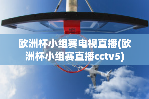 欧洲杯小组赛电视直播(欧洲杯小组赛直播cctv5)