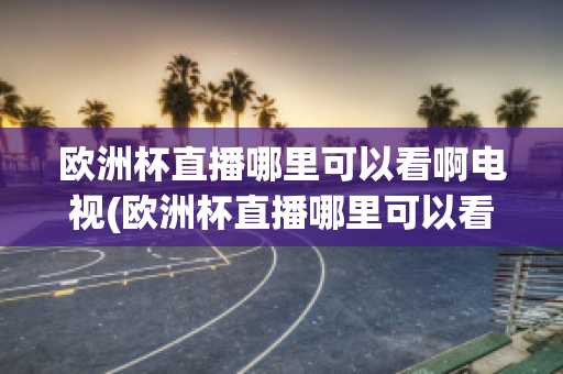 欧洲杯直播哪里可以看啊电视(欧洲杯直播哪里可以看啊电视剧)