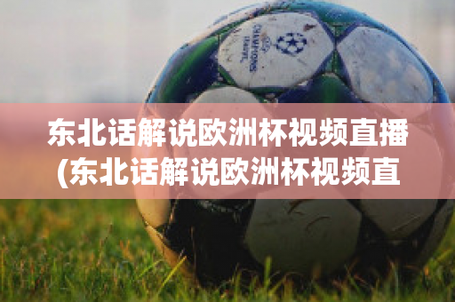 东北话解说欧洲杯视频直播(东北话解说欧洲杯视频直播回放)