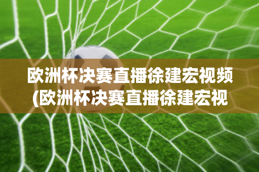 欧洲杯决赛直播徐建宏视频(欧洲杯决赛直播徐建宏视频在线观看)