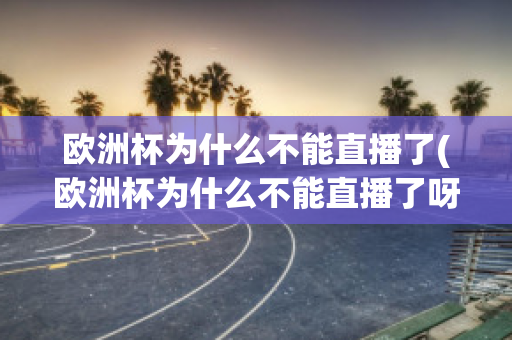 欧洲杯为什么不能直播了(欧洲杯为什么不能直播了呀)