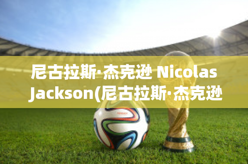 尼古拉斯·杰克逊 Nicolas Jackson(尼古拉斯·杰克逊身高)