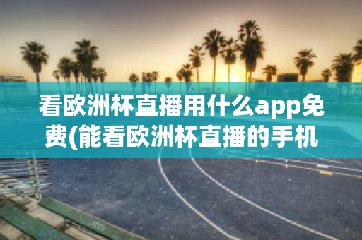 看欧洲杯直播用什么app免费(能看欧洲杯直播的手机软件)