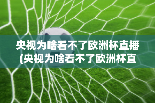 央视为啥看不了欧洲杯直播(央视为啥看不了欧洲杯直播回放)