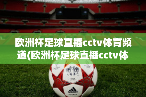 欧洲杯足球直播cctv体育频道(欧洲杯足球直播cctv体育频道回放)