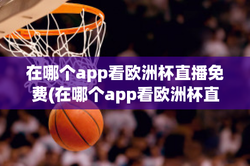 在哪个app看欧洲杯直播免费(在哪个app看欧洲杯直播免费软件)