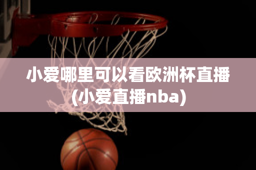 小爱哪里可以看欧洲杯直播(小爱直播nba)