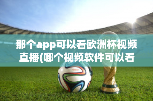 那个app可以看欧洲杯视频直播(哪个视频软件可以看欧洲杯直播)