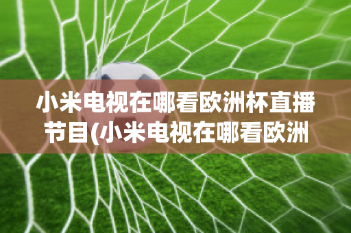 小米电视在哪看欧洲杯直播节目(小米电视在哪看欧洲杯直播节目啊)