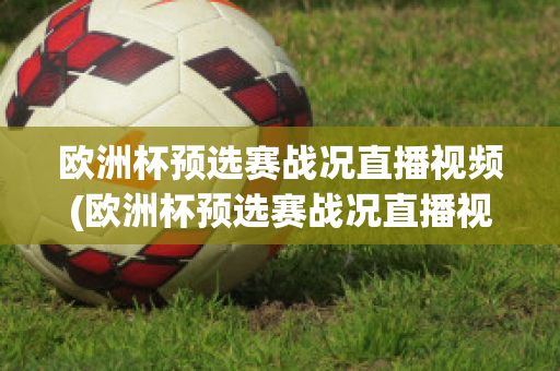 欧洲杯预选赛战况直播视频(欧洲杯预选赛战况直播视频在线观看)