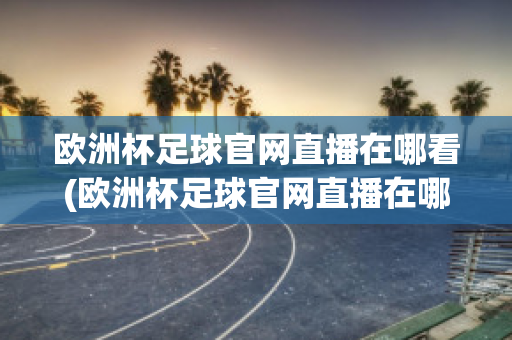 欧洲杯足球官网直播在哪看(欧洲杯足球官网直播在哪看到)