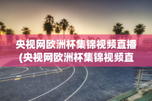 央视网欧洲杯集锦视频直播(央视网欧洲杯集锦视频直播在线观看)