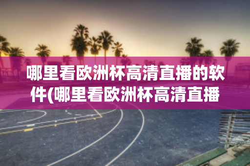 哪里看欧洲杯高清直播的软件(哪里看欧洲杯高清直播的软件免费)