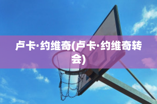 卢卡·约维奇(卢卡·约维奇转会)