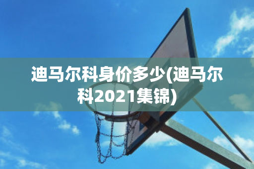 迪马尔科身价多少(迪马尔科2021集锦)