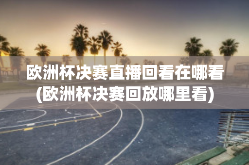 欧洲杯决赛直播回看在哪看(欧洲杯决赛回放哪里看)