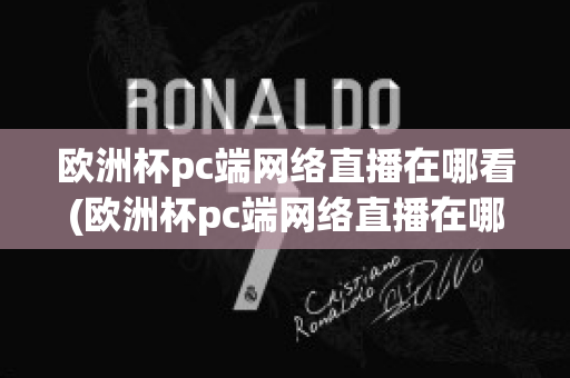 欧洲杯pc端网络直播在哪看(欧洲杯pc端网络直播在哪看回放)