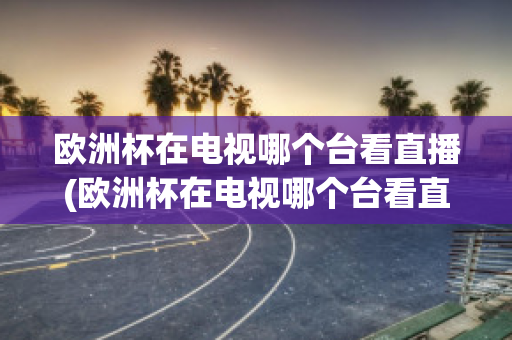 欧洲杯在电视哪个台看直播(欧洲杯在电视哪个台看直播节目)