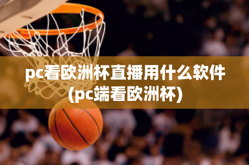 pc看欧洲杯直播用什么软件(pc端看欧洲杯)