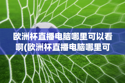 欧洲杯直播电脑哪里可以看啊(欧洲杯直播电脑哪里可以看啊)