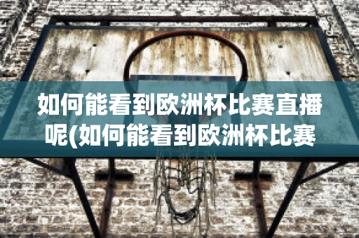 如何能看到欧洲杯比赛直播呢(如何能看到欧洲杯比赛直播呢知乎)