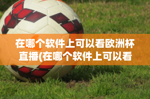 在哪个软件上可以看欧洲杯直播(在哪个软件上可以看欧洲杯直播视频)