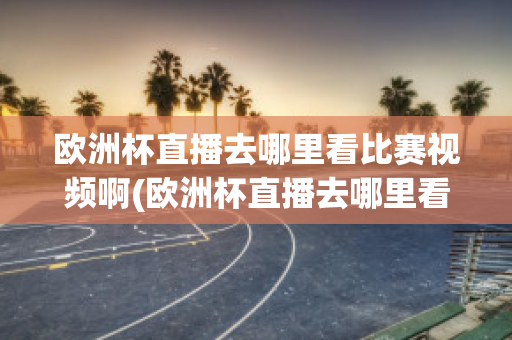 欧洲杯直播去哪里看比赛视频啊(欧洲杯直播去哪里看比赛视频啊知乎)