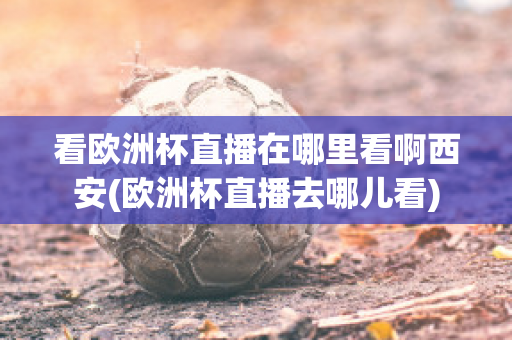 看欧洲杯直播在哪里看啊西安(欧洲杯直播去哪儿看)