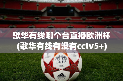 歌华有线哪个台直播欧洲杯(歌华有线有没有cctv5+)