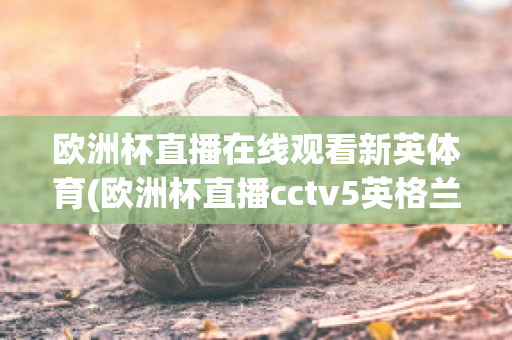 欧洲杯直播在线观看新英体育(欧洲杯直播cctv5英格兰)